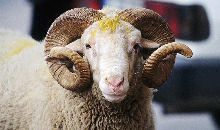 Bayram tatili belli oldu