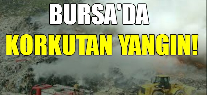 Bursa'da korkutan yangın!