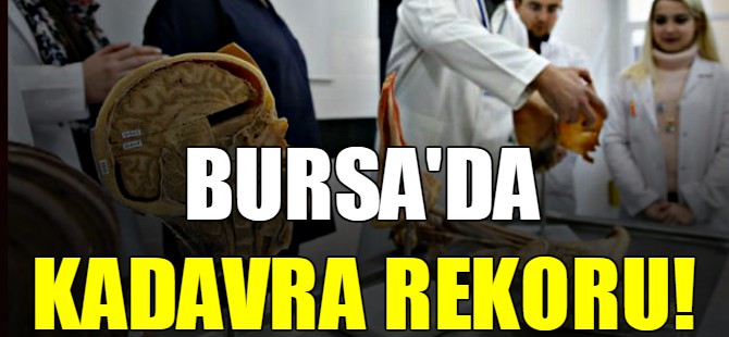 Bursa'da kadavra rekoru!