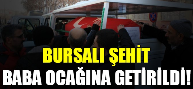Bursalı şehit baba ocağına getirildi