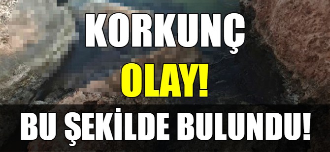 Korkunç olay!