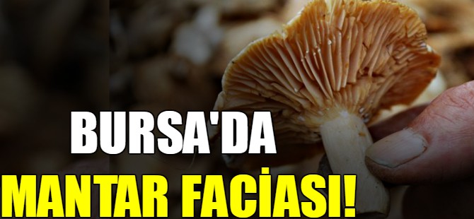 Bursa'da mantar faciası!