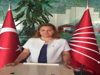"Toplum 400 vekil dayatmasıyla kara günler geçiriyor"