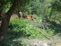 Hakkari'de patlayıcı bulundu