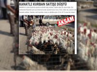 'kanatlı kurban' haberi yaptılar!