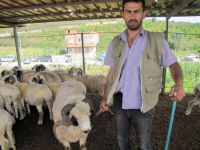 Satıcılar da, alıcılar da memnun değil