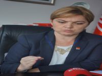 "Cumhurbaşkanı, Türkiye'de siyasi risk primini ortaya çıkaran temel aktördür"