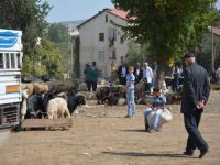 Bitlis’te kurbanlıklara rağbet yok