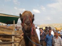 Vatandaşların ilgi odağı oldu