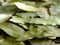 Şifalı bitkilerden 100 milyon dolarlık ihracat