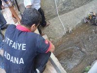 Kurbanlık keçi tünele kaçtı