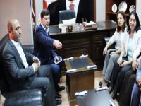 HDP'den, AKP ziyaretinde ateşkes çağrısı