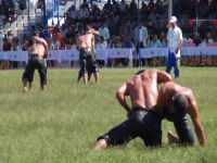 Nar Festivali, yağlı pehlivan güreşleriyle başladı
