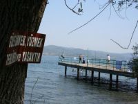 Sapanca gölünde iki farklı uyarı tabelası kafa karıştırıyor