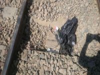 Güroymak'ta tren yoluna döşenen patlayıcı imha edildi