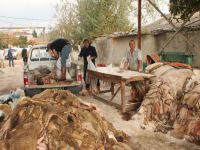 Toplanan deride yüzde 40 artış var