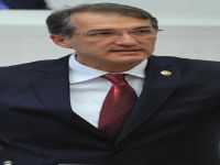 İrgil: Sağlık bütçesi Dİnayet'in yarısı