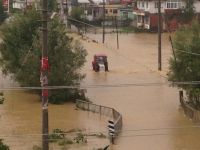 Sakarya'da yağış sele dönüştü: Yollar kapandı, evleri su bastı