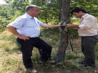 Bursa’da su samuru foto kapana yakalandı