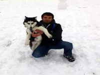 Kaybolan köpeğine ödül koydu