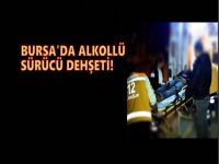 Otobüs durağına daldı!