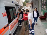 Yine bonzai yine Bursa!