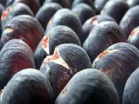Bursa'da üretilen siyah incirin rakibi yok