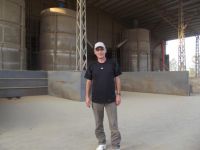 Çeltik üreticisi, yeni yerli tohum istiyor