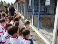 Nilüferli minikler, can dostlarıyla buluştu
