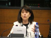 Zana: Çözüm sürecinde 3'üncü bir göze ihtiyaç var