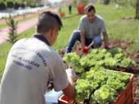 Yenimahalle’de kış hazırlıkları başladı