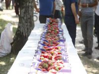Bursa'da çilek festivali