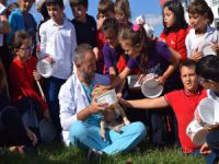 Bursa'da sokak hayvanları iyileştirildi