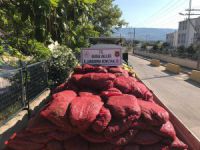 Bursa'da 12 ton kaçak midye ele geçirildi