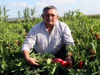 Üreticisinin yüzünü güldürdü