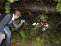 MHP’li adayların üzerine ağaç devrildi