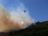 Yenişehir'deki orman yangınında yeni gelişme