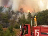 İzmir'de orman yangınları kontrol altına alındı