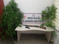 Bursa'da uyuşturucu tacirlerine geçit yok