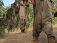 2 PKK'lı teslim oldu