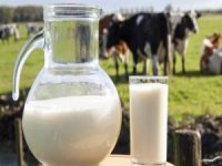 Uzmanlar Süt tüketimine dikkat çekiyor