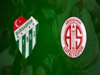 Timsah, sahasında kayıp