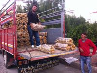 Patates bu yıl kilosu 1 liradan satılıyor