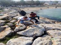 Bursa'da  Balıkçı Barınağı temizliği