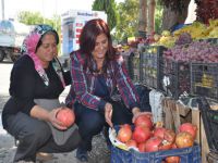 Aydın Büyükşehir bu yıl nar ve elma üreticisine destek olacak