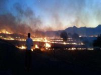 1100 hektar alan kül oldu