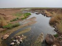 Çadır kentin lağım suları tarım arazilerine akıyor