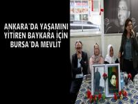 "Oğlumuz öldü ama mutlaka barış kazanacak!"