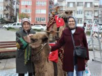Bursa sokaklarına develer indi