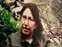 PKK’nın iki numarası öldürüldü